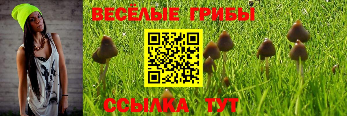 купить   Галлюциногенные грибы мицелий  Вход с VPN  Шарыпово 