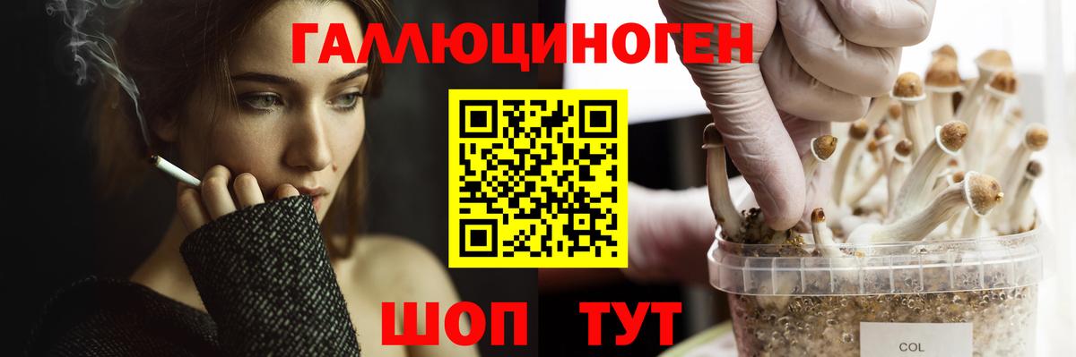 Галлюциногенные грибы Cubensis Шарыпово